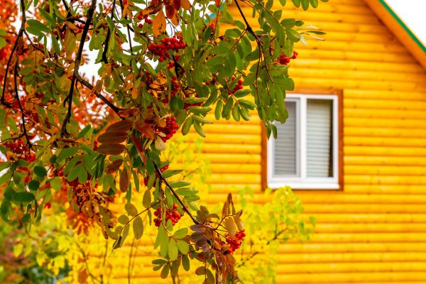 Garden Window Replacement in New Milford